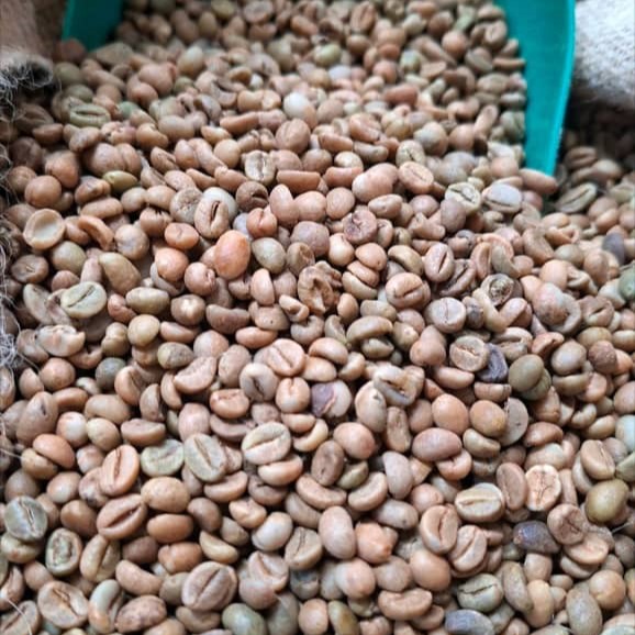 Tanzania Robusta Coffee