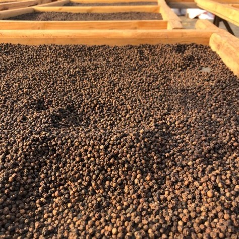 Wholesale Black Pepper Exporters Tanzania